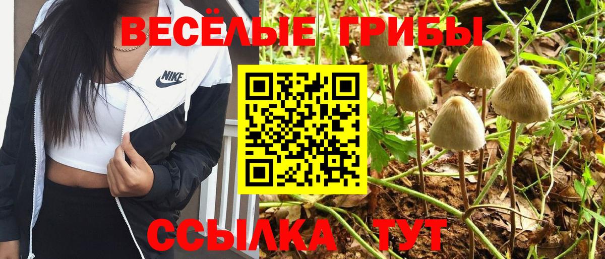 Галлюциногенные грибы Cubensis  Вход с VPN  как найти   Отрадный 